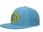 Dirtbag Flexfit Hat